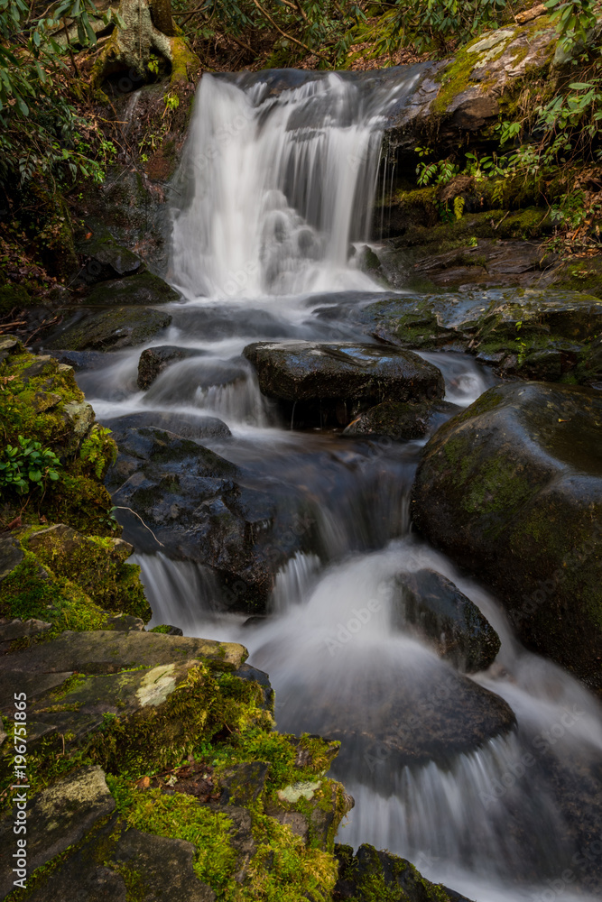 Fototapeta premium Green Moss Around Husky Branch Falls