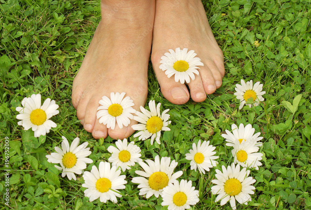 Healthy Feets Gesunde Fusse Fusse Gesund Fusse Wiese Margeriten Textraum Copy Space Stock Photo Adobe Stock Healthy Feets Gesunde Fusse Fusse Gesund Fusse Wiese Margeriten Textraum Copy Space Stock Photo Adobe Stock
