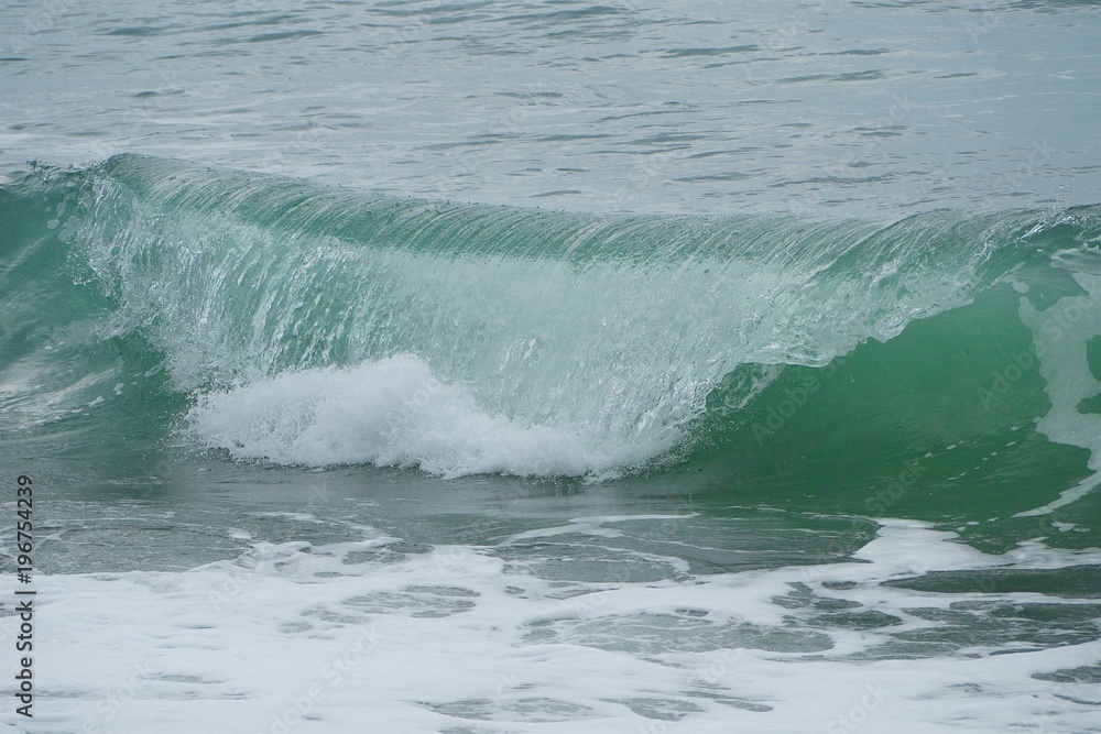 Green wave with white foam. Autumn sea.
