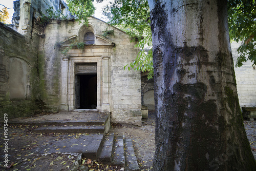 Fototapeta Naklejka Na Ścianę i Meble -  Francia, Arles,la necropoli di Alyscamps