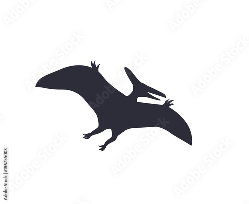 dinosaur, pterodactyl silhouette isolated on white