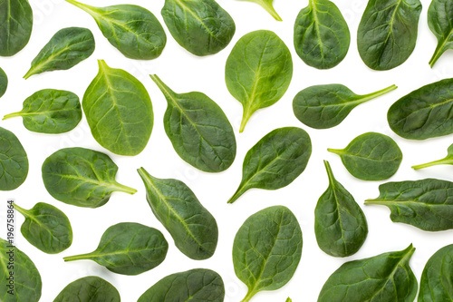 Spinach pattern background on white. Top view
