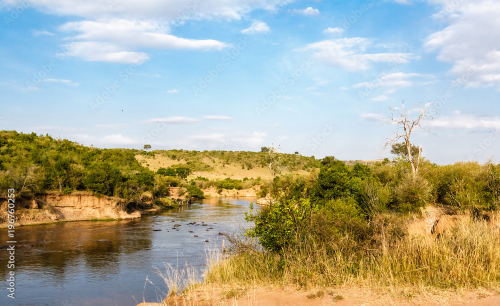 Mara river in Masai Mara. River among trees. Kenya. Mara river in Masai Mara. River among trees. Kenya.