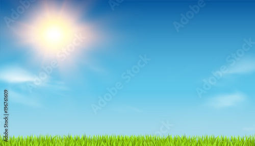 sunny background with meadow