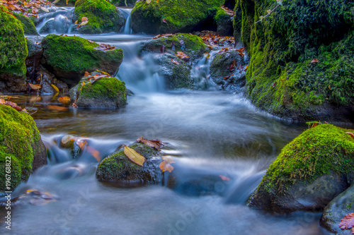 Fotografía Wasser fliesst im Bach