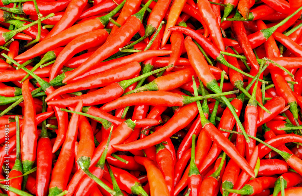 colorful of Many red chili with full frame