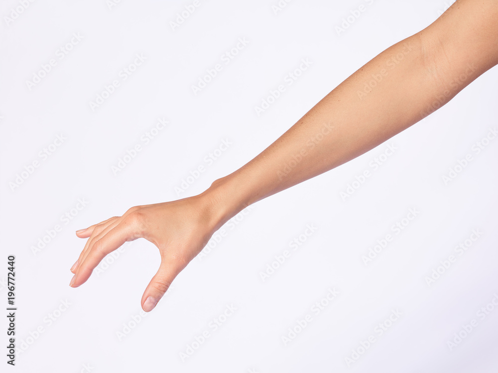 Main femme, fond blanc Main femme, fond blanc