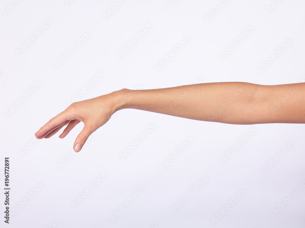 Main femme, fond blanc Main femme, fond blanc