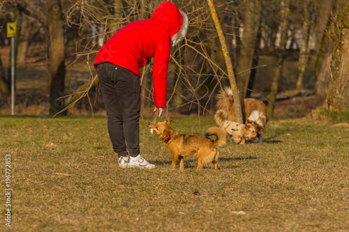 girl in red jacket playing with dogs in park