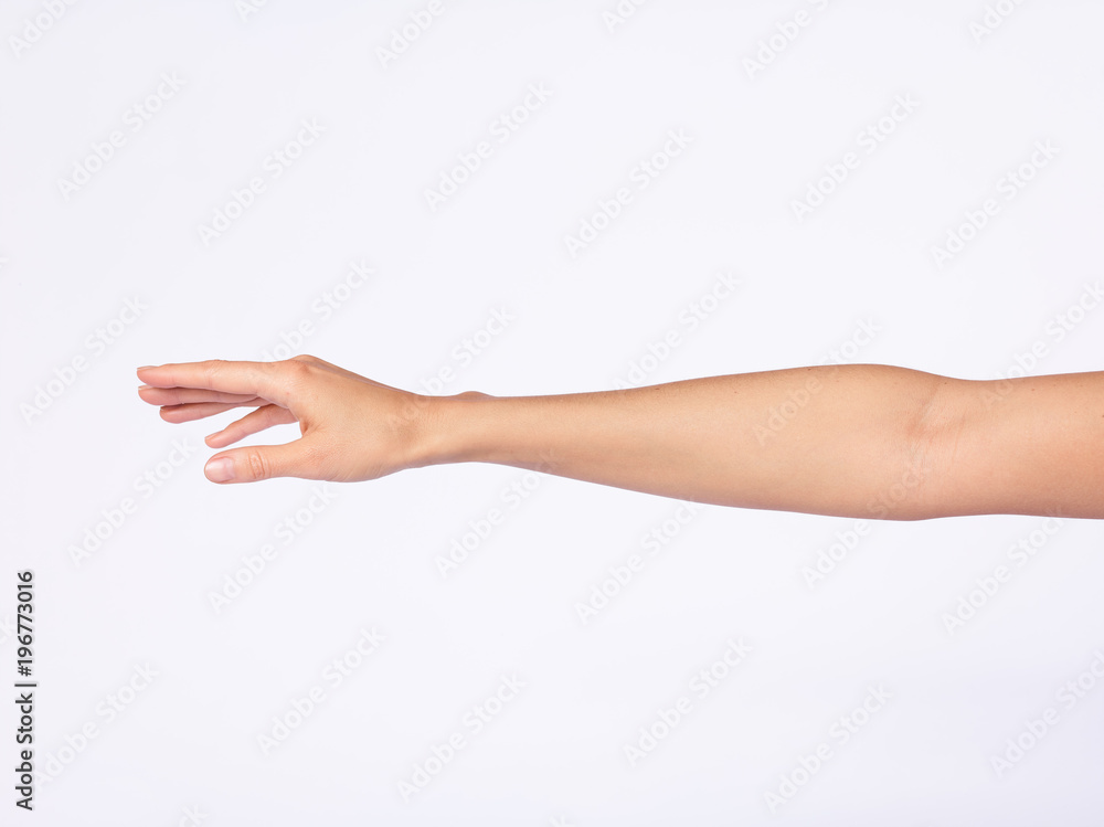 Main femme, fond blanc Main femme, fond blanc