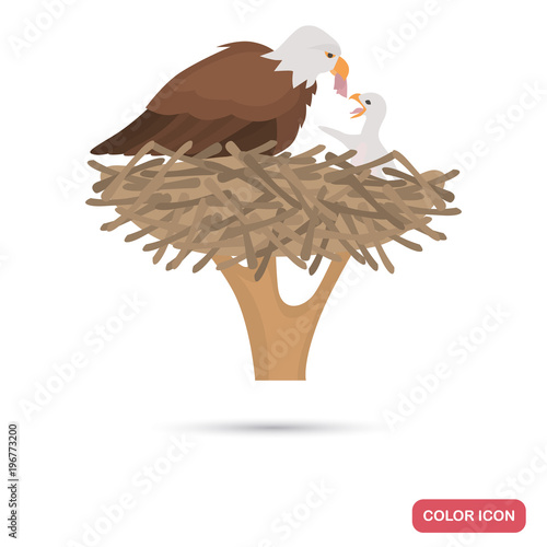 Eagle and chick in the nest color flat icon