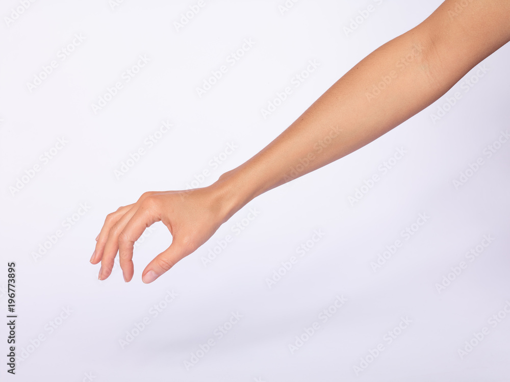 Main femme, fond blanc Main femme, fond blanc