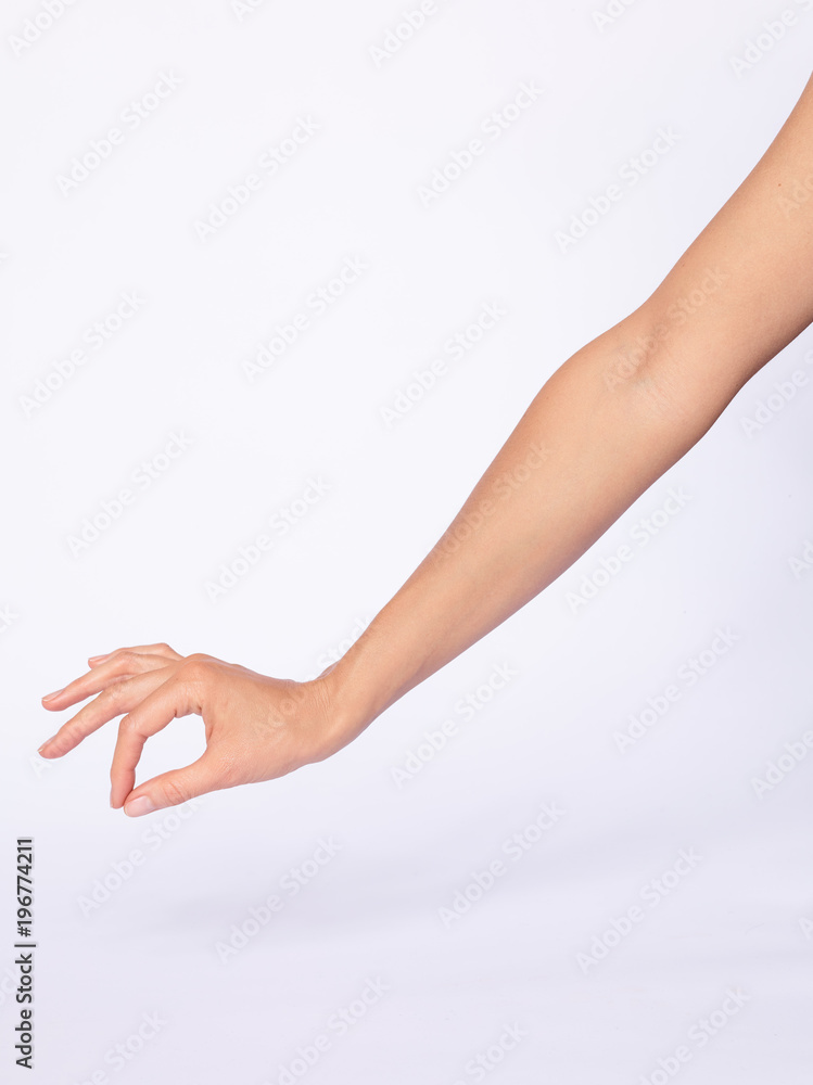 Main femme, fond blanc Main femme, fond blanc