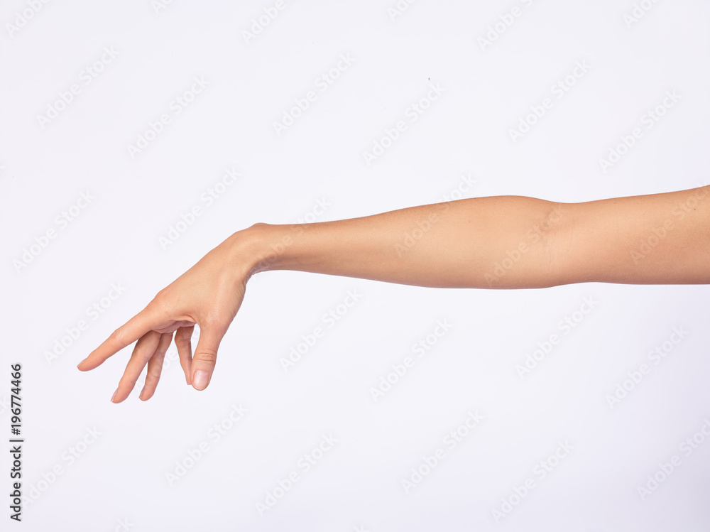 Main femme, fond blanc