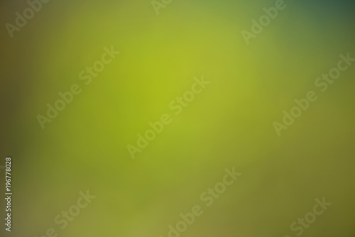 Nature gradient backdrop with bright sunlight. Abstract green blurred background. Ecology concept for your graphic design, banner or poster.