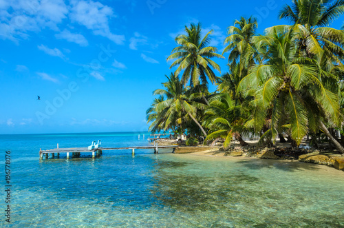 Fototapeta Naklejka Na Ścianę i Meble -  Tobacco Caye - Relaxing on Wooden Pier on small tropical island at Barrier Reef with paradise beach, Caribbean Sea, Belize, Central America