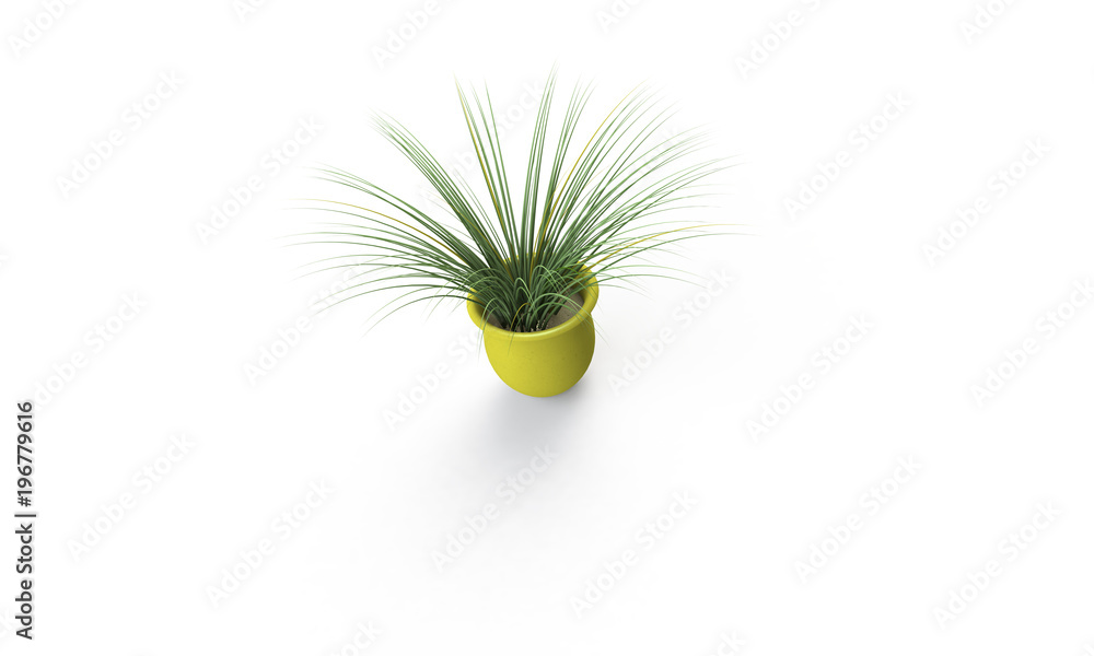 Green plant in brown vase isolated on white Green plant in brown vase isolated on white