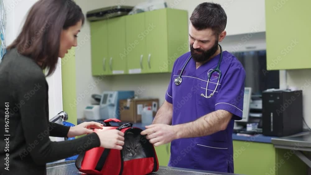 Young pretty Ukrainian woman bringing cat in bag for annual inspection. Veterinarian of veterinary clinic opening bag, directing light on pet. Young pretty Ukrainian woman bringing cat in bag for annual inspection. Veterinarian of veterinary clinic opening bag, directing light on pet.
