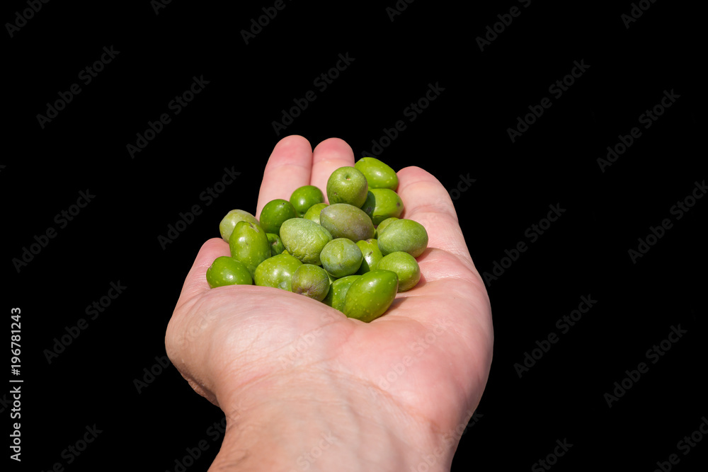 Hand full of green olives isolated on black Hand full of green olives isolated on black