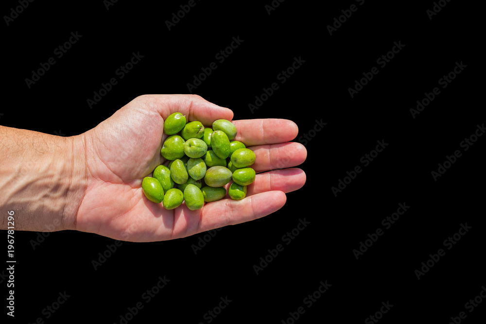 Hand full of green olives isolated on black