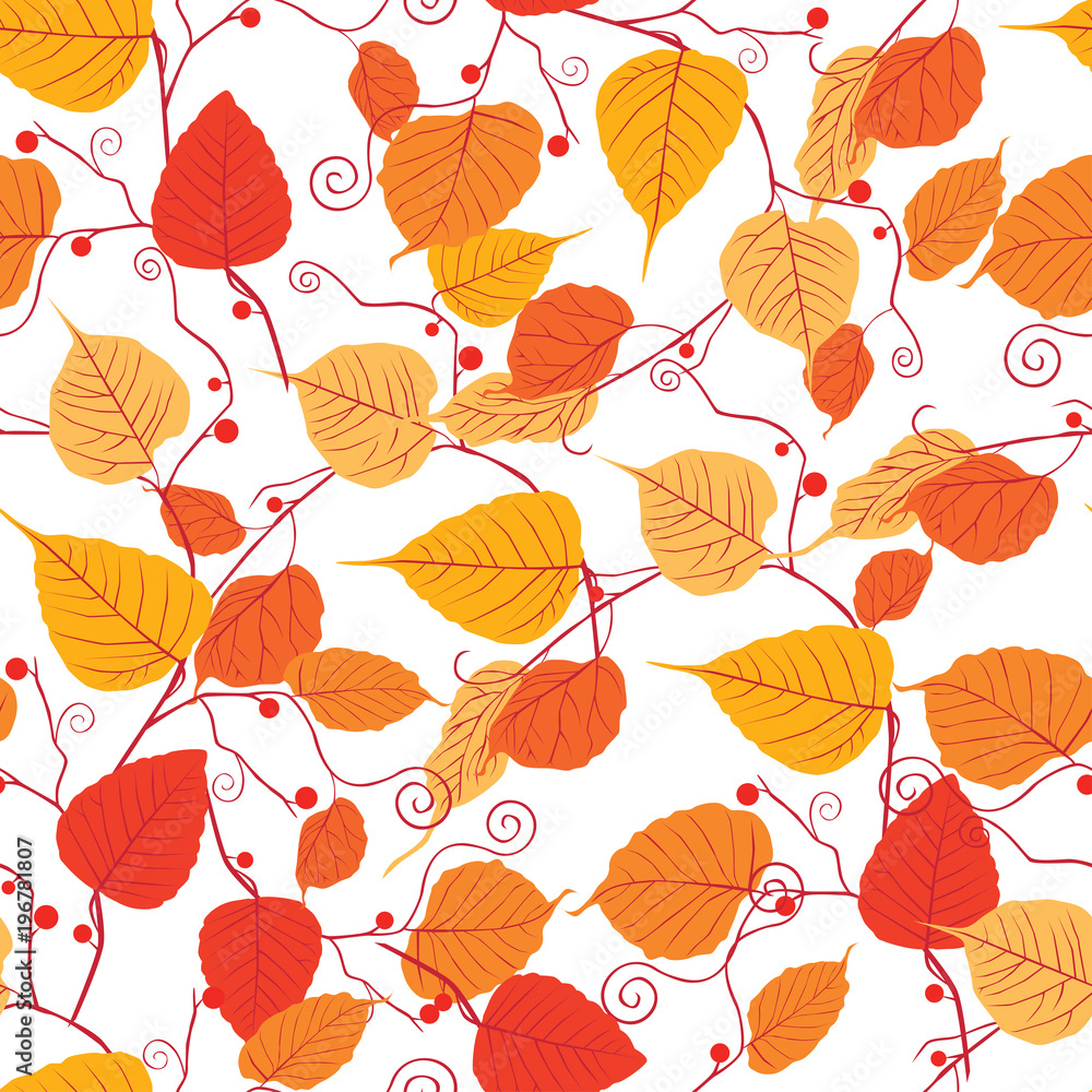 Fototapeta Pattern of the autumn twigs