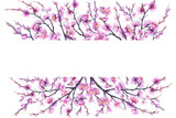 Banner with cherry branch pink flowers. Japan sakura blossom. For decoration, greeting card, invitation. Watercolor hand drawn painting illustration isolated on a white background.