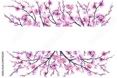 Banner with cherry branch pink flowers. Japan sakura blossom. For decoration, greeting card, invitation. Watercolor hand drawn painting illustration isolated on a white background.