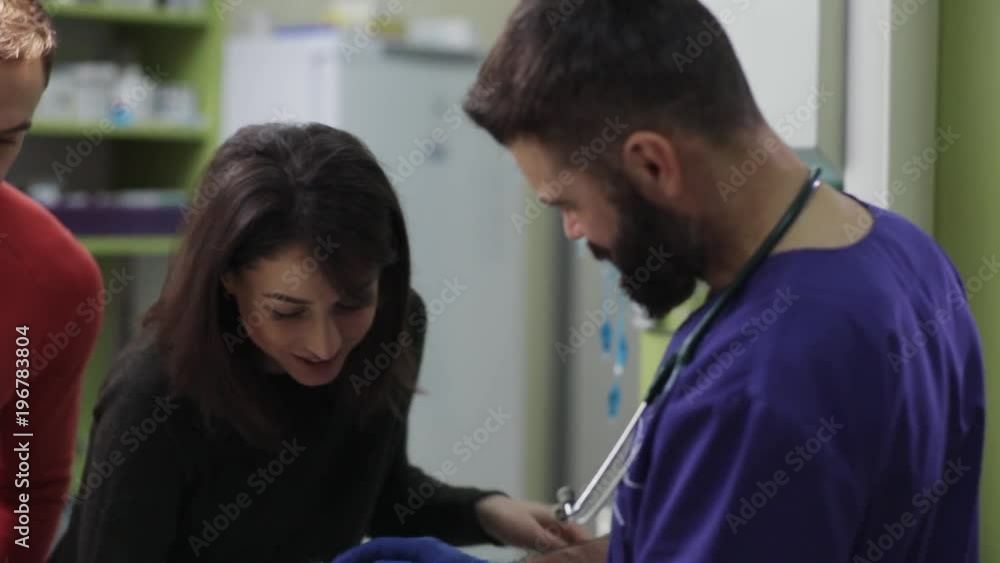 Young beautiful Caucasian couple in love bringing cat to veterinary clinic. Vet turning light, examining fluffy white cat. Indoors. Young beautiful Caucasian couple in love bringing cat to veterinary clinic. Vet turning light, examining fluffy white cat. Indoors.