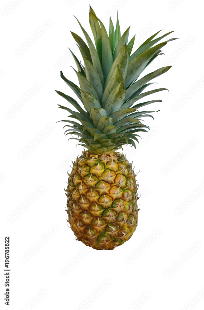 Ananas or Pineapple on white background Ananas or Pineapple on white background