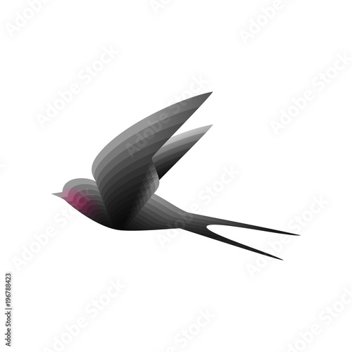 stylized flying gray swallow