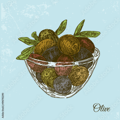 Vintage card. Glass cup with ripe mixed olives. Color. Engraving style. Vector illustration.