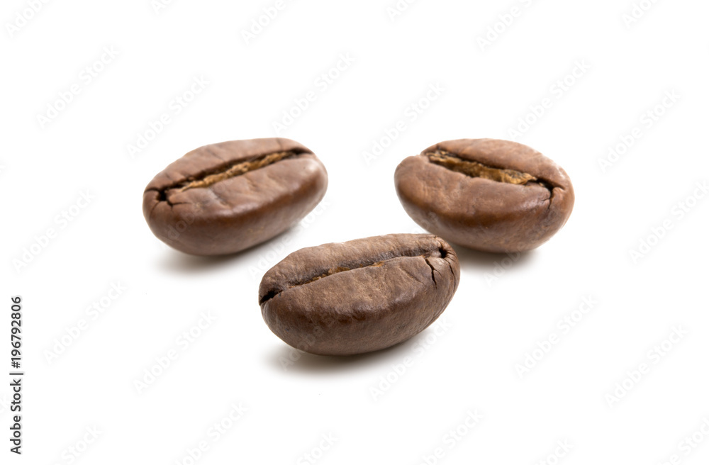 coffee beans isolated coffee beans isolated