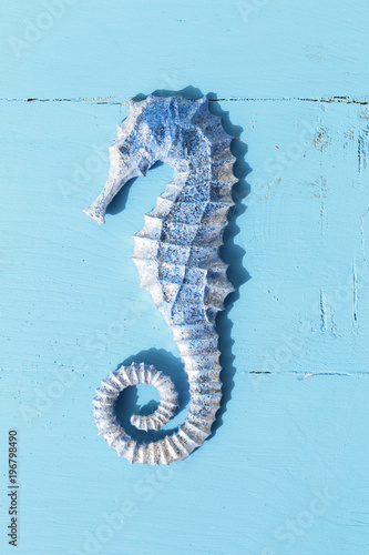 Summer board of blue Seahorse on blue wooden background for holiday concept 