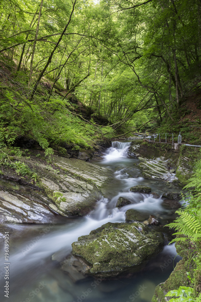 The river Breggia at the Bruzella mill, Muggio Valley, Mendrisio District, Canton Ticino, Switzerland. The river Breggia at the Bruzella mill, Muggio Valley, Mendrisio District, Canton Ticino, Switzerland.