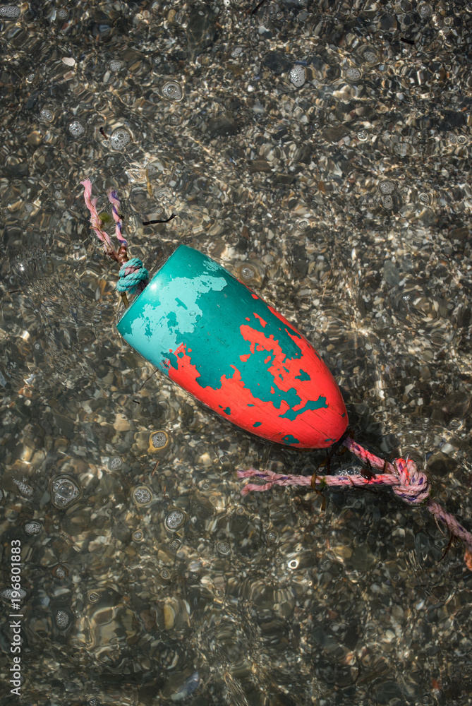 Lobster buoy in water Stock Photo Adobe Stock