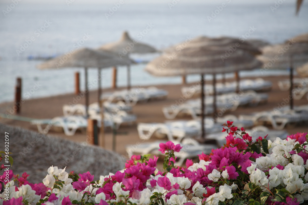 Fototapeta premium Tourist resort, Egypt, empty beach