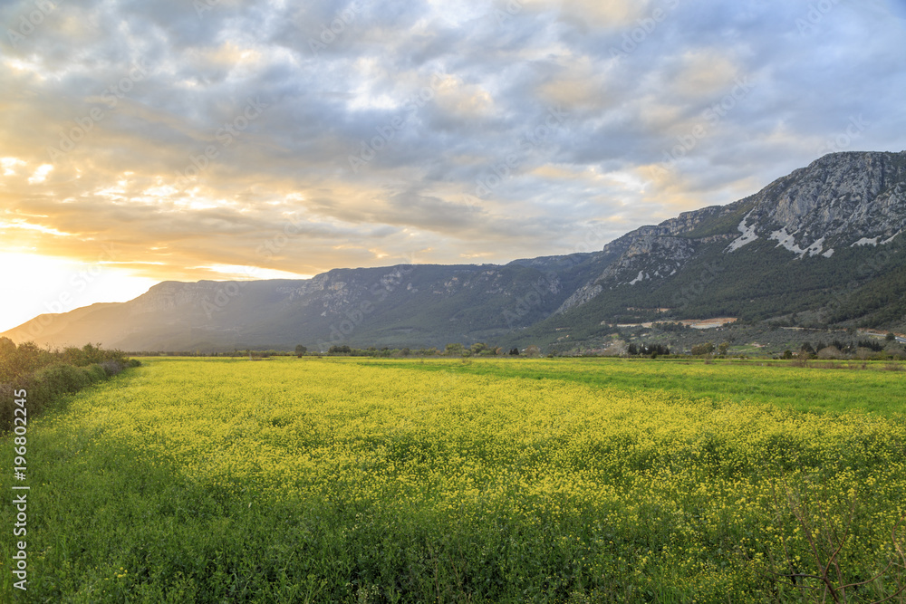 Sunset over yellow meadows near mountains in Gokova, Turkey