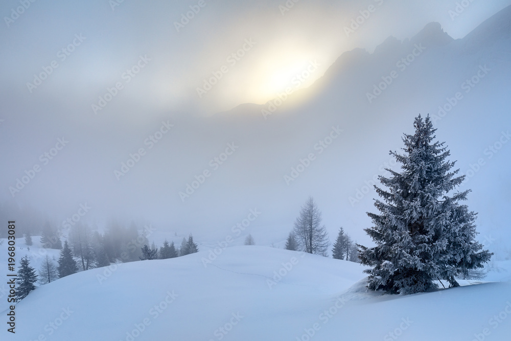 Look out to the valley from Valles pass in winter with the sun rising behind Cime di Focobon mountains, Falcade, Belluno,Veneto, Italy Look out to the valley from Valles pass in winter with the sun rising behind Cime di Focobon mountains, Falcade, Belluno,Veneto, Italy