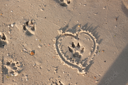 Dog footprind on wet sand and heart around it 