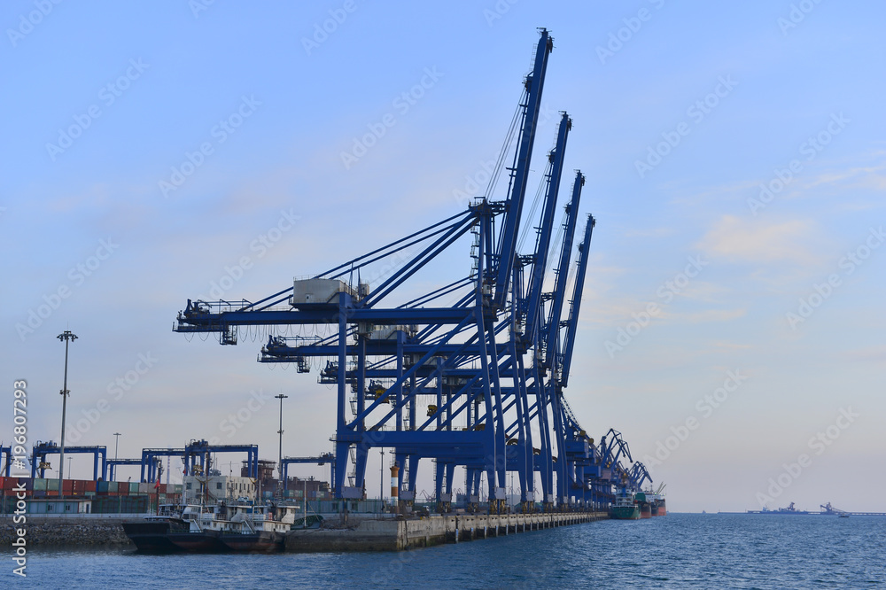 Port crane bridge and bulk carrier Port crane bridge and bulk carrier