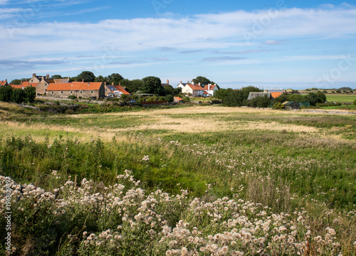 Lindisfarne Field