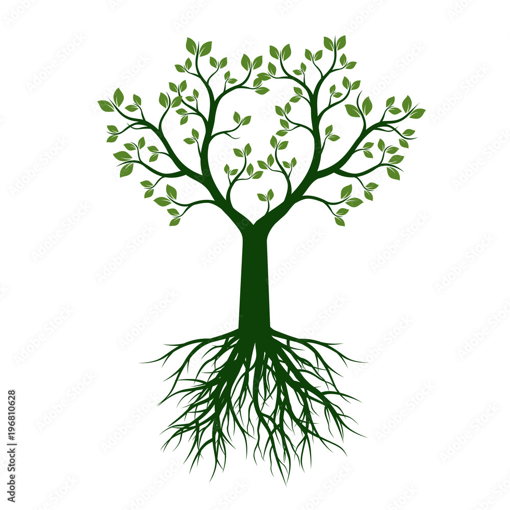 Green Tree with Leaves. Vector Illustration. Green Tree with Leaves. Vector Illustration.