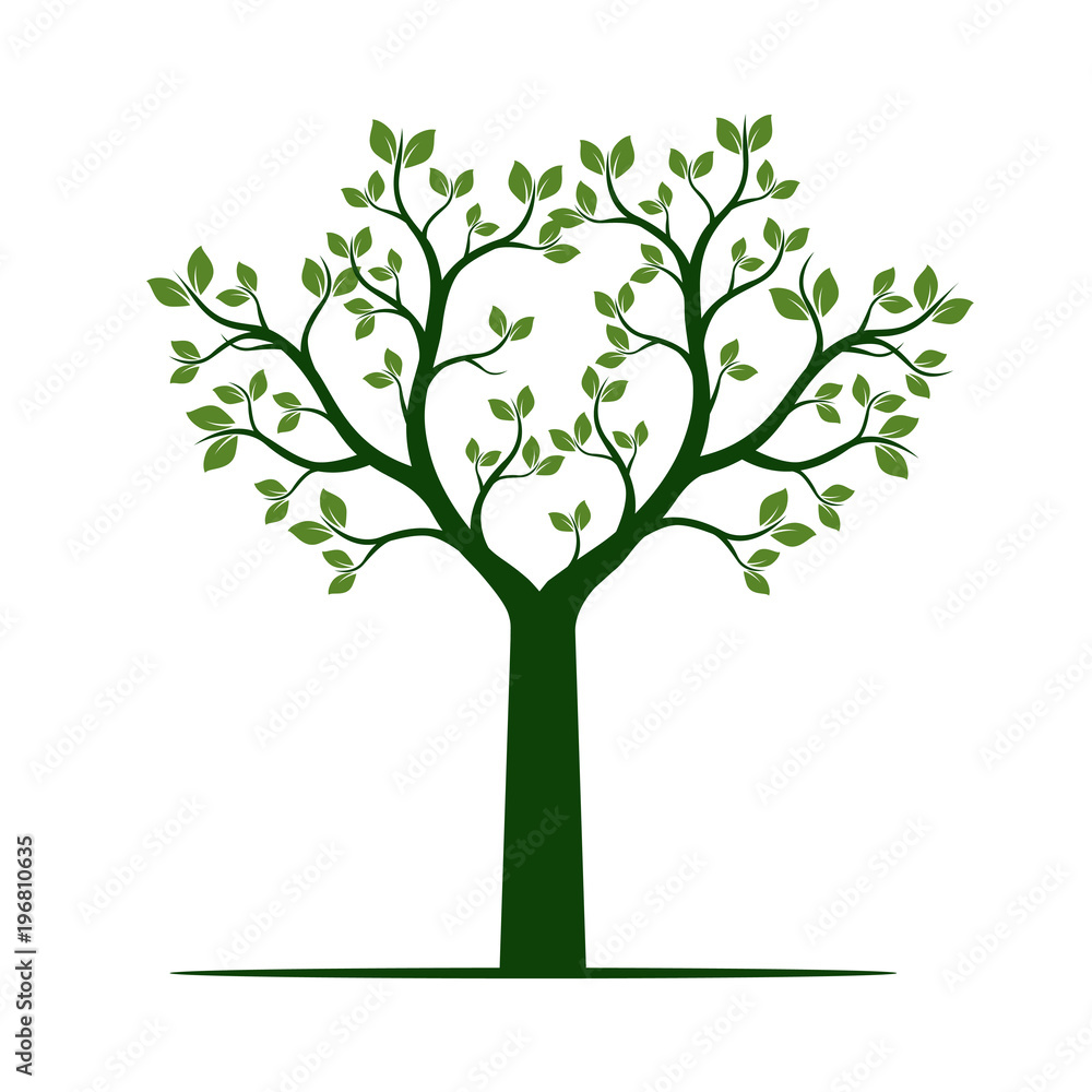 Green Tree with Leaves. Vector Illustration. Green Tree with Leaves. Vector Illustration.