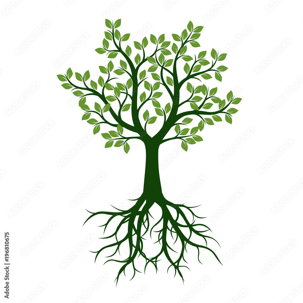 Green Tree with Leaves and Roots. Vector Illustration and graphic element. Green Tree with Leaves and Roots. Vector Illustration and graphic element.