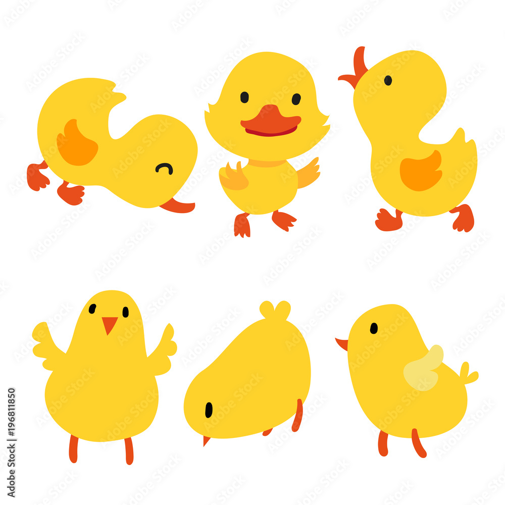 chick and duck collection