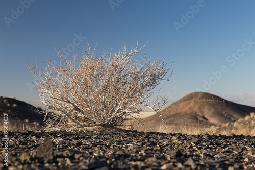 Kavir Desert, Damghan, Semnan, Iran photo