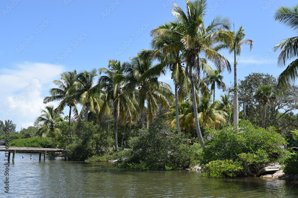 Palm trees lining the shore of island with small dock, blue sky.