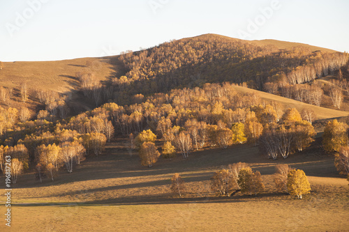The dusk in the grassland in autumn