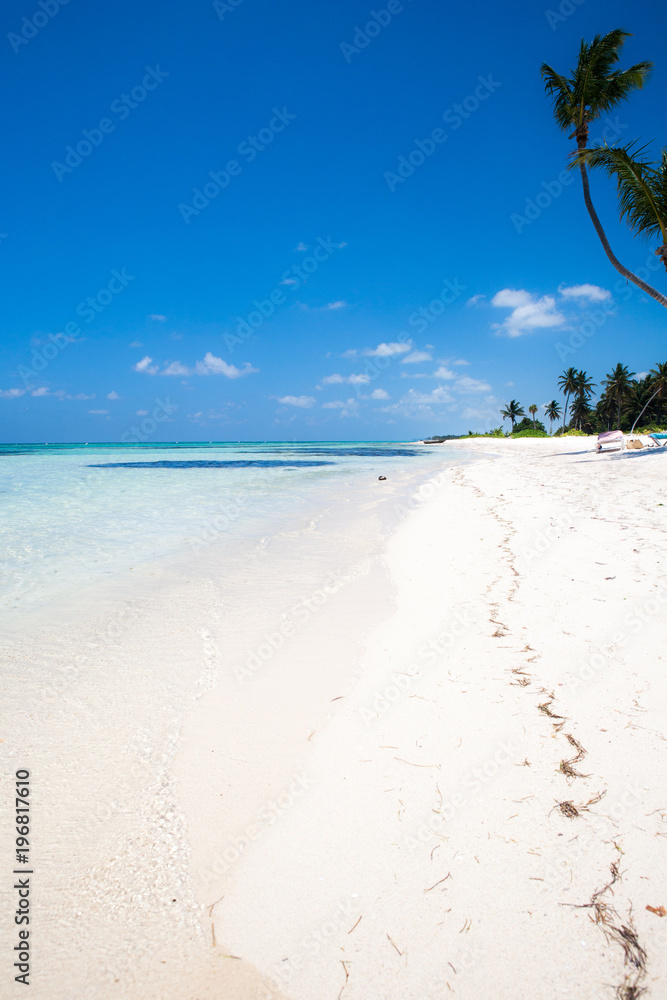Tropical Beach with White Sand and Palm Trees, in Cap Cana, Dominican Republic
