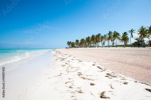 Tropical Beach with White Sand and Palm Trees, in Cap Cana, Dominican Republic photo